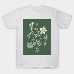 Wild herbs T-Shirt